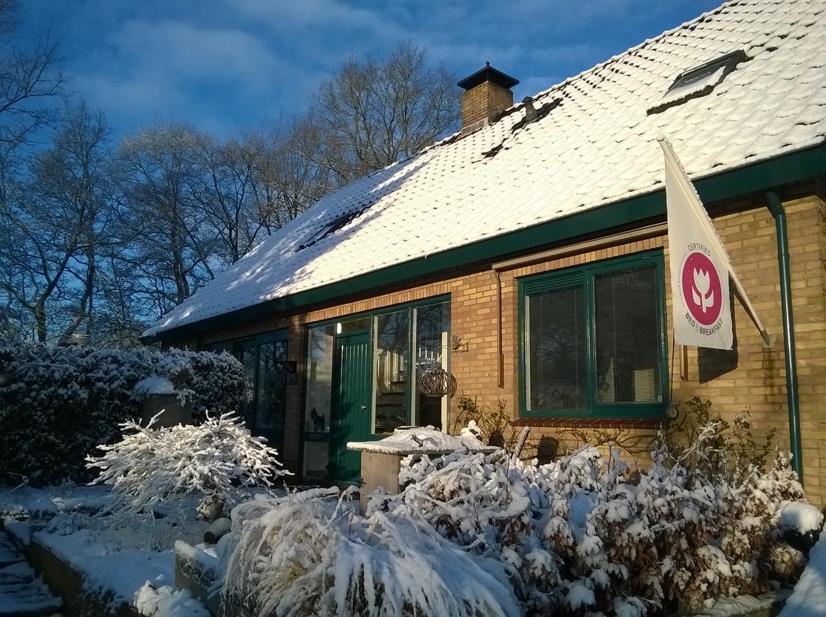 B&B Opdeparkkamp Met Laadpaal Voor Elektrische Auto'S Havelte Exterior foto